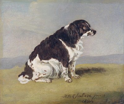 Der Spaniel der Herzogin von York, 1804 von Henry Bernard Chalon